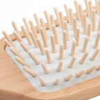 Macro Bristle Detail